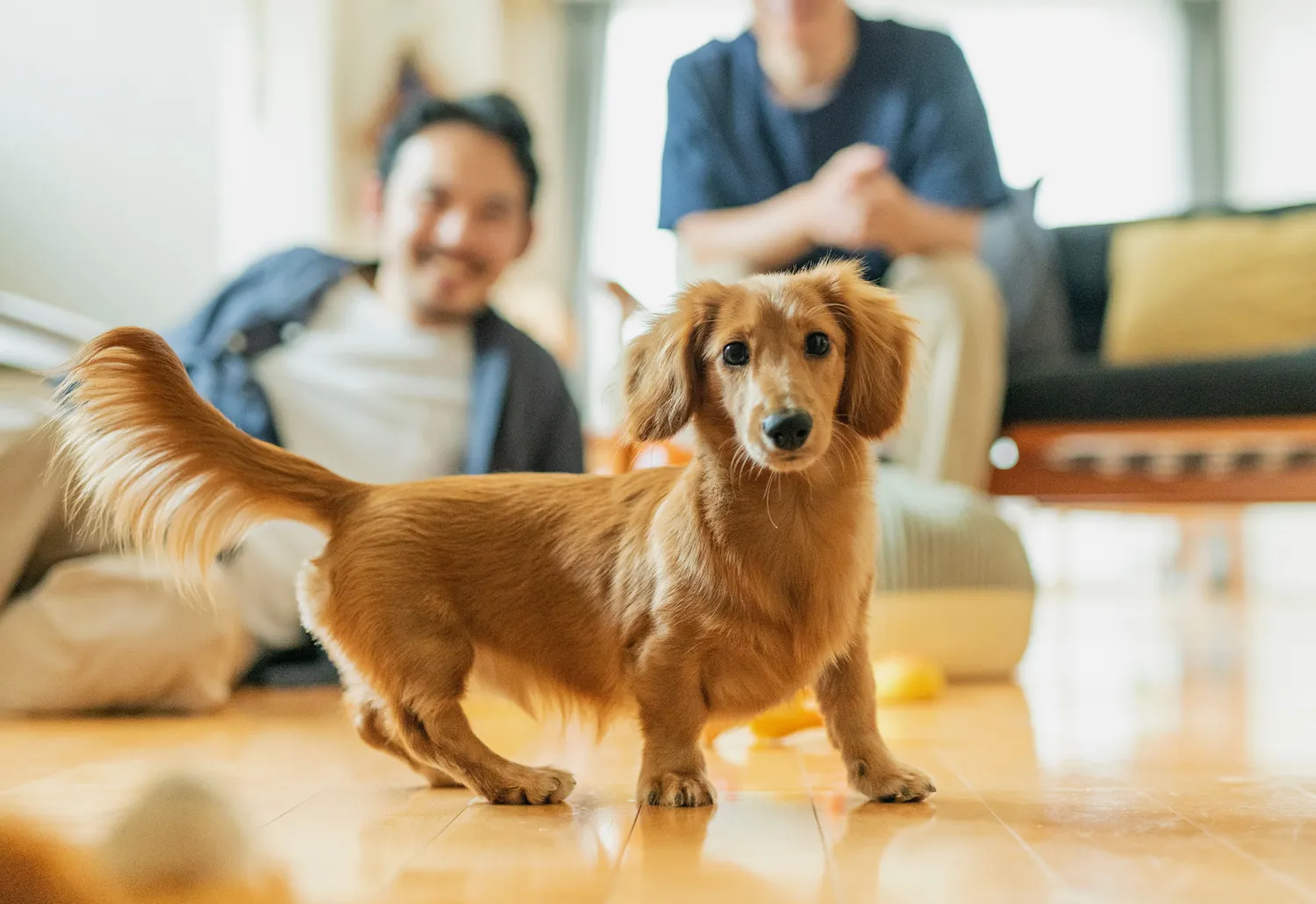 犬と一緒にくつろぐ家族